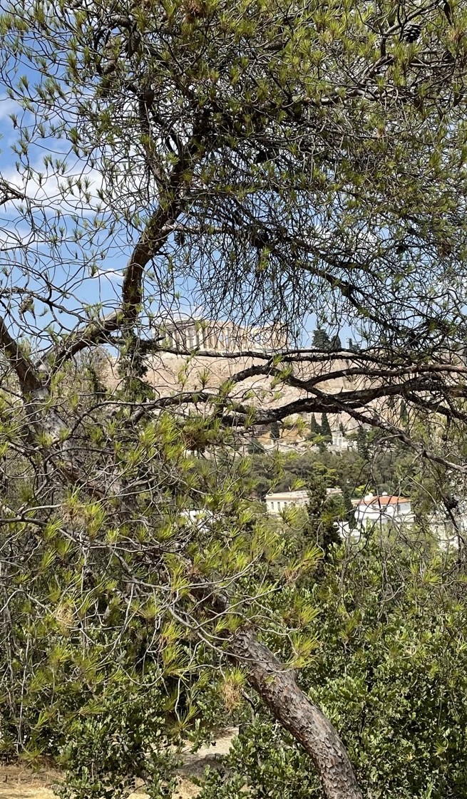 5b.-Acropolis-Over-There