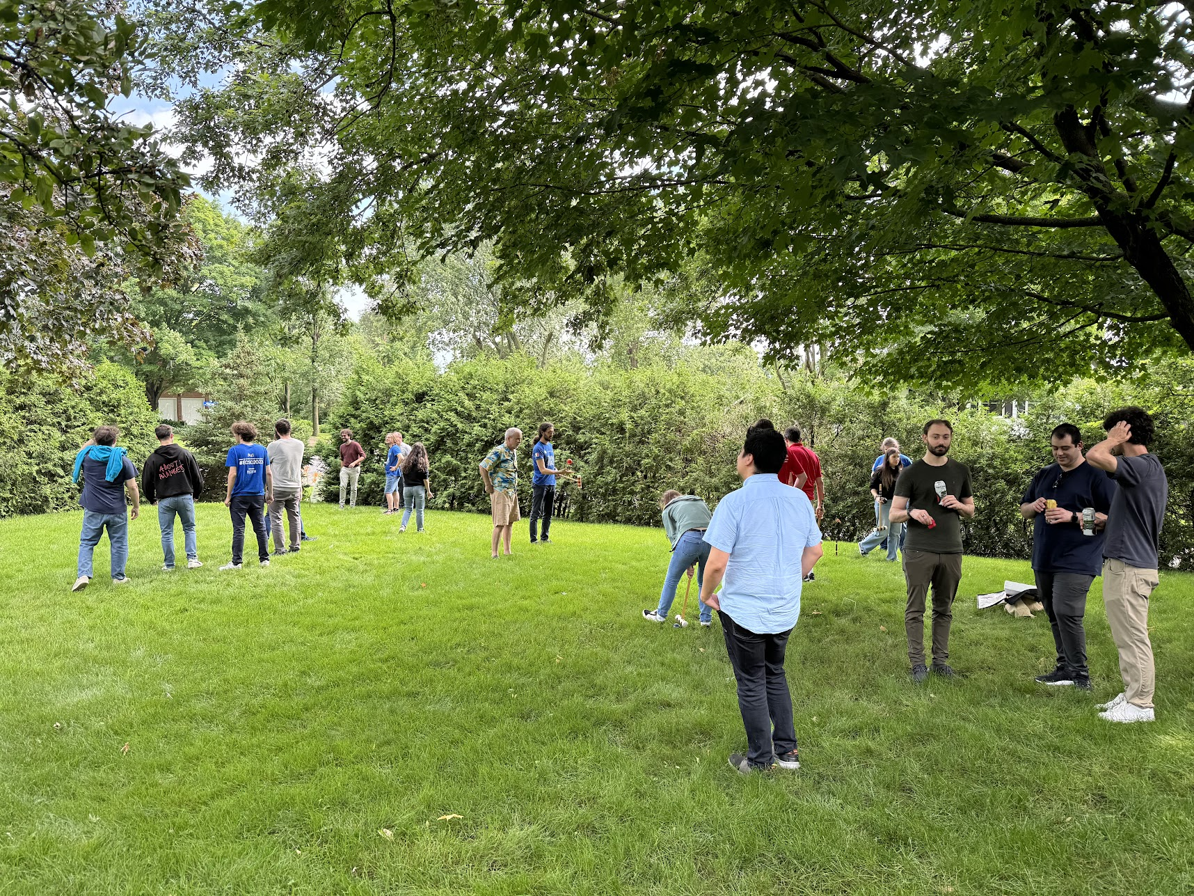 Croquet-and-Horseshoes